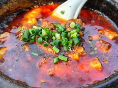 邵子牛脊髓-曾牛肉