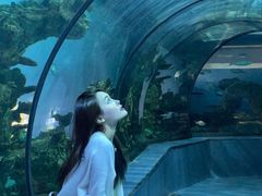 -乐从天佑城星光广场