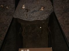 -上海长江河口科技馆