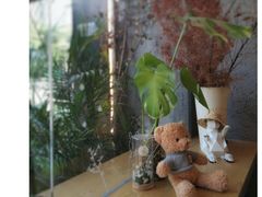 -Infica Coffee