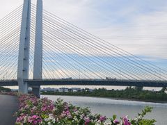 -合肥滨湖国家森林公园