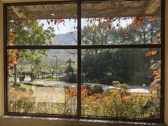 -中国茶叶博物馆(双峰馆区)