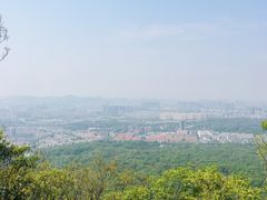 -紫金山山顶公园