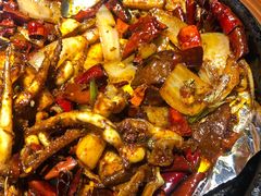 鱿鱼-华豫川酒家(大卫城店)