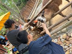 -泉州海丝野生动物世界