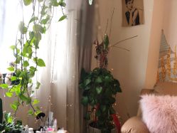 点击看大图 -雪儿·YuKi美甲美睫皮肤管理Salon