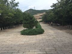-府君山公园
