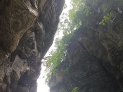 -蝶舞清江·恩施云顶景区(黄鹤峰林)