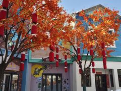 -沈阳方特欢乐世界