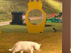 -华谊兄弟（长沙）电影小镇