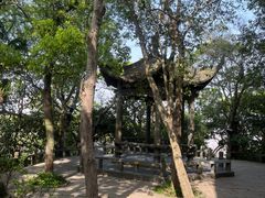 -江心屿景区