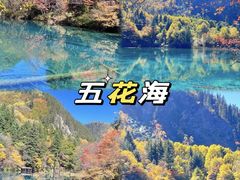 -CGV影城(壹方城IMAX店)