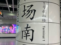 -广州白云国际机场-T2航站楼