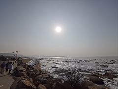 -辽宁团山国家级海洋公园
