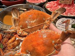 -一绪に寿喜烧(荟聚店)