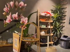 -施奈儿.洗头頭療.按摩SPA.采耳(上梅林店)