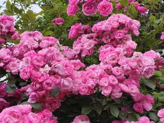 -太阳宫公园