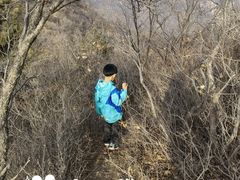 -白河堡水库