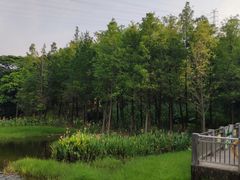 -东莞市大岭山森林公园
