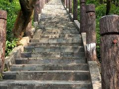 -田心森林公园