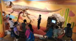 -北京科学中心儿童乐园