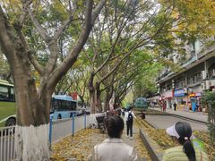 -西南政法大学(沙坪坝校区)