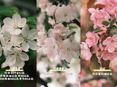 -海棠花溪(元大都城垣遗址公园)