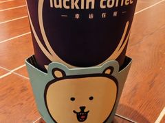 -洋湖国家湿地公园
