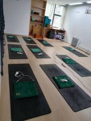 -广州萨谛艾扬格瑜伽中心