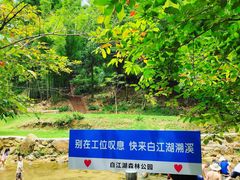 -广州白江湖森林公园