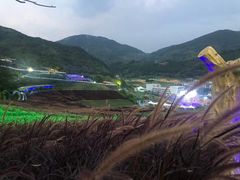 -瓷天下海丝谷