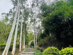 -火炉山森林公园