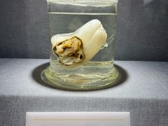 -唐山抗震纪念馆