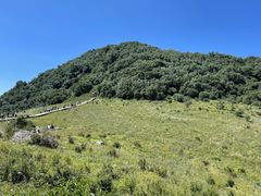 -白草畔自然风景区