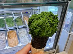 -鹤茶野所(上海首店)
