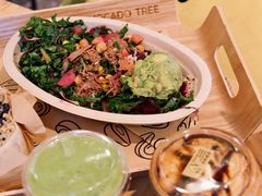 -油梨树AVOCADO TREE(嘉里中心店)
