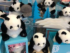 -熊猫屋(宽窄巷子景区店)