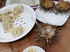 -海胆小馆(东北水饺·春柳店)