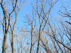 -天赐万豪洗浴中心