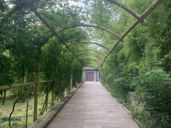 -红螺寺