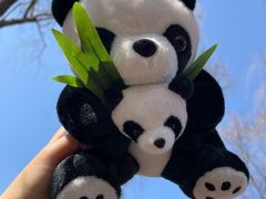 -济南野生动物世界