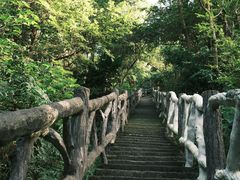 -长沙黑麋峰国家森林公园