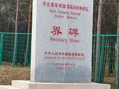 -塞罕坝国家级自然保护区