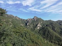 -大岭沟猕猴桃谷风景区