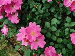 -杭州城北体育公园