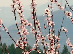 -白水寺森林公园