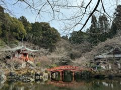 -醍醐寺