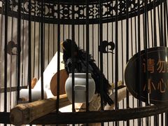 -清真·京华源铜锅涮肉(丰庆店)