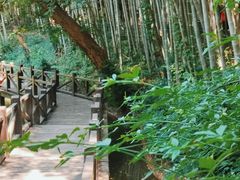 -宝岩生态观光园