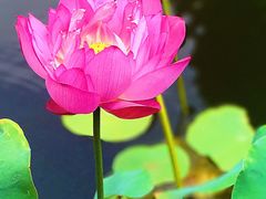 景点-陈云纪念馆